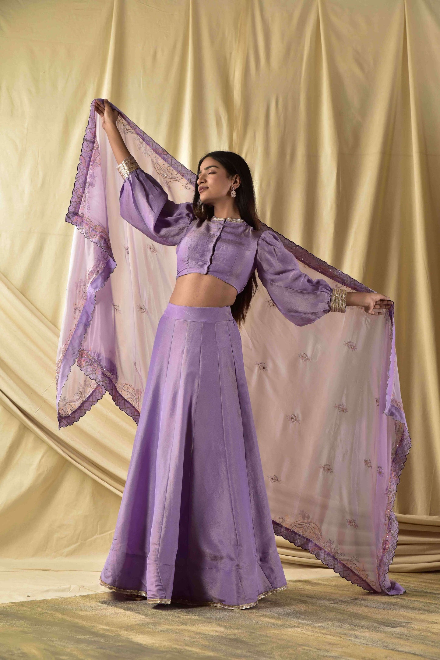 Lavender Butterfly Lehenga set