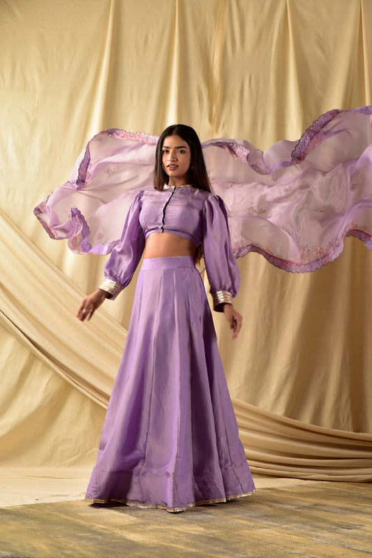 Lavender Butterfly  Lehenga set